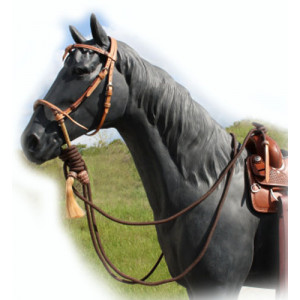 Raffinaderij schudden Kano Bridles - Tack - For Your Horse