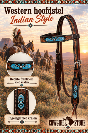 Hoofdstel Two Tone Beaded Browband Indian Style